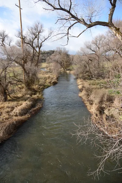 DSC_1020 (Large).JPG